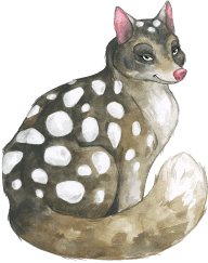 animal image - Samantha Quoll